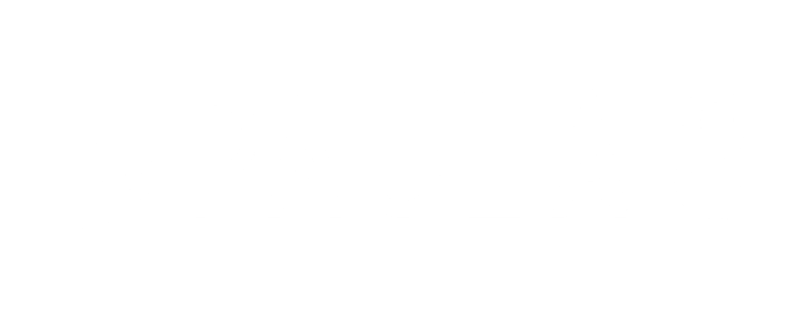 PAULA 8